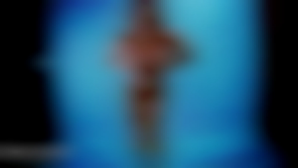 fitness model topless huge tits