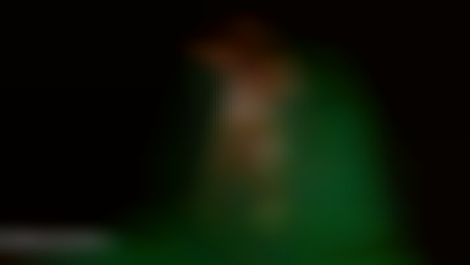 Kathy Connors amazing nude muscle girl