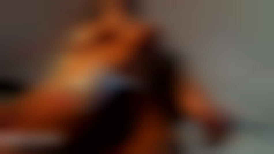 huge cock bulge female bodybuilder jock stap