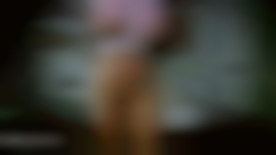 big round tits dripping wet