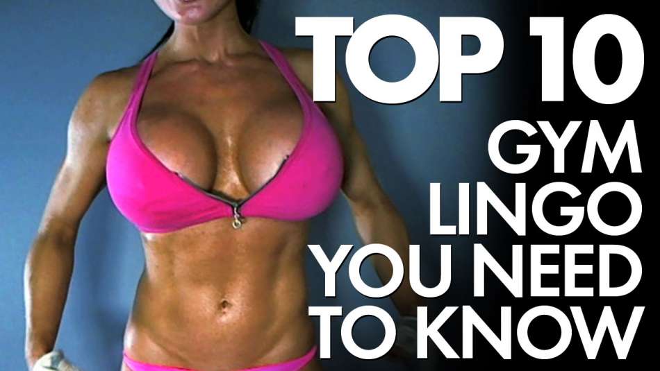 Gym Lingo You Need to Know [Top 10]